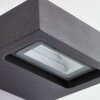 AEG Glynn Outdoor Wall Light LED anthracite, 1-light source