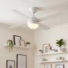 Lenok Ceiling fan light LED Wood like finish, white, 1-light source, Remote control
