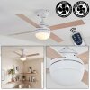 Lenok Ceiling fan light LED white, 1-light source, Remote control