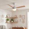 Lenok Ceiling fan light LED white, 1-light source, Remote control