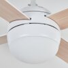 Lenok Ceiling fan light LED white, 1-light source, Remote control