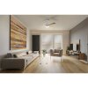 Eglo lights & Ceiling fan light LED Wood like finish, white, 1-light source, Remote control