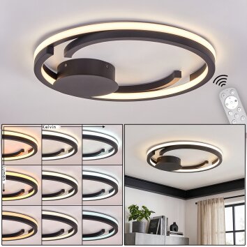 Miral dimmable LED ceiling light, round ring design with remote control, Ø 48 cm