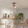 Lemak LED ceiling spotlight, adjustable ceiling spot in sand taupe, modern GU10