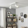 Lemak LED ceiling spotlight, 2-light adjustable GU10 spot in white
