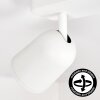 Lemak LED ceiling spotlight, 2-light adjustable GU10 spot in white