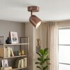 Lemak LED ceiling spotlight in copper, GU10 adjustable ceiling light with swivel head