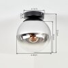 Gastor smoked glass ceiling light with globe shade, E27 vintage flush mount