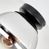 Gastor smoked glass ceiling light with globe shade, E27 vintage flush mount