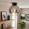 Gastor smoked glass ceiling light, globe flush mount lamp with E27 socket