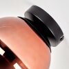 Gastor globe ceiling light, round flush mount lamp for dining room, retro style