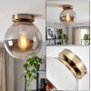 Gastor smoked glass ceiling light, globe shade, E27, vintage brass-look fixture