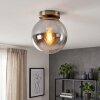 Gastor smoked glass ceiling light, globe shade, E27, vintage brass-look fixture