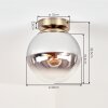 Gastor smoked glass ceiling light, globe shade, E27, vintage brass-look fixture