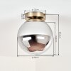 Gastor smoked glass globe ceiling light, vintage ceiling light in brass finish