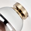 Gastor smoked glass globe ceiling light, vintage ceiling light in brass finish