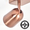 Lemak LED ceiling spotlight in copper, 2-light GU10 adjustable spot bar