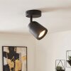 Lemak LED ceiling spotlight with adjustable light head, GU10, modern design