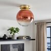 Vintage globe light Gastor with round clear and coppery glass shade, ø 20 cm, E27