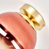 Vintage globe light Gastor with round clear and coppery glass shade, ø 20 cm, E27