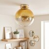 Gastor globe ceiling light, round flush mount for living room and dining room