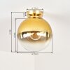Gastor globe ceiling light, round flush mount for living room and dining room