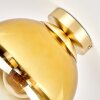 Gastor globe ceiling light, round flush mount for living room and dining room