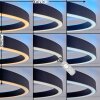 Narok LED ring ceiling light with remote control, modern living room ceiling lamp