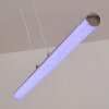 Flaut Pendant Light LED chrome, 1-light source, Remote control, Colour changer