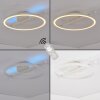 Narok LED ceiling light with remote control, modern round ring lamp for living room