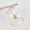 Koyoto 4-light living room ceiling light with globe shades, retro E14