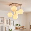 Gastor globe ceiling light, 5-light ceiling lamp for living room and dining room