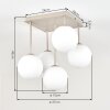 Gastor globe ceiling light, 5-light ceiling lamp for living room and dining room