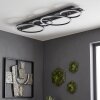 Kordex LED ceiling light, modern ring ceiling lamp for living room and hallway