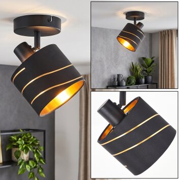 Alsen adjustable ceiling spotlight with cut-out lampshade for directed light
