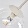 Chehalis globe ceiling light, 6-light G9 flush mount, 58 cm diameter