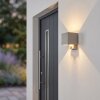 Tamarin LED outdoor wall light with motion sensor for front door and garden