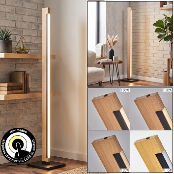 LED rectangular floor lamp Inzino, white vertical strip, 3000 Kelvin warm white, dimmable