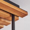 Cluster ceiling light Koyoto with 4 clear and smoke-coloured glass shades, E14