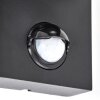Kingstown motion sensor wall light, outdoor wall light for front door and garden