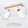 Alvorn modern 2-light ceiling spotlight with adjustable cylindrical lamp heads, E27