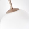 Gastor globe ceiling light, 4-light E14 ceiling lamp in Scandinavian style