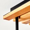 Gastor 5-light boho vintage ceiling light with globe shades for living room