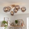 Chehalis ceiling light with globe shades, 6-light G9, ø 64 cm, modern retro