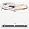 Calista LED ceiling light, round ring ceiling light Ø 41 cm, modern flat design