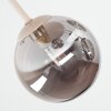 Chehalis 5-light globe ceiling light, round retro ceiling lamp for living room