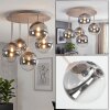 Chehalis 5-light globe ceiling light, 45 cm round, G9 for living room