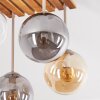 Gastor 4-light ceiling light with globe shades for dining room and living room
