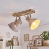 Sand-coloured Scandinavian Wooden Ceiling Spotlight Orny, 2-light, rotatable heads