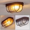Catawba Ceiling Light rust-coloured, 1-light source